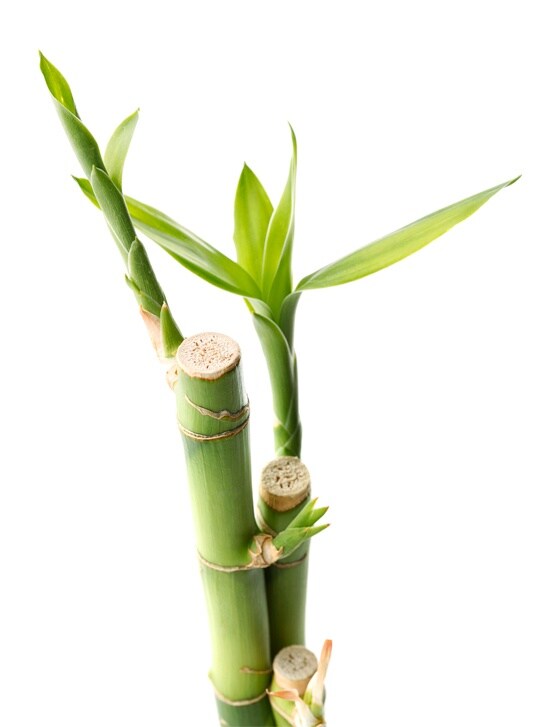 Dell EMC ML3/ML3E磁帶庫(kù)和擴(kuò)展 - 選擇磁帶，與綠色同行